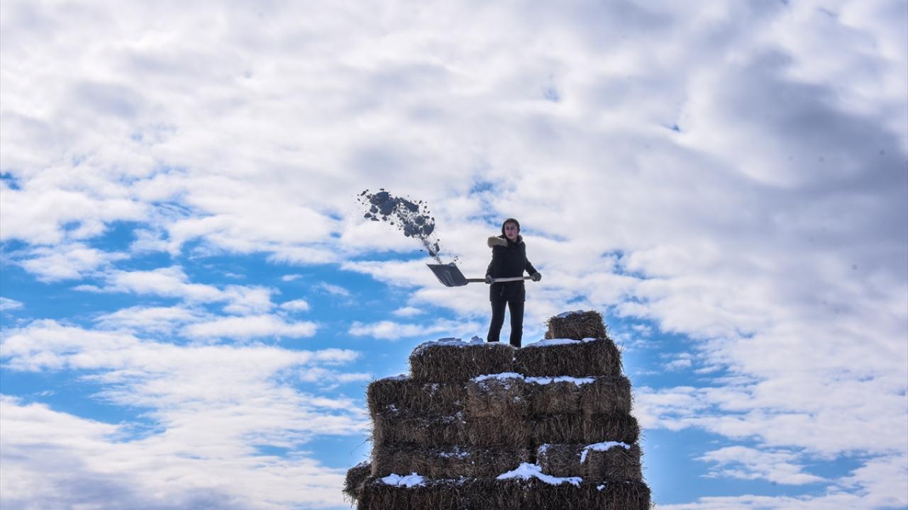 Bazı vatandaşlar, saman balyalarının üzerinde biriken karları temizledi.