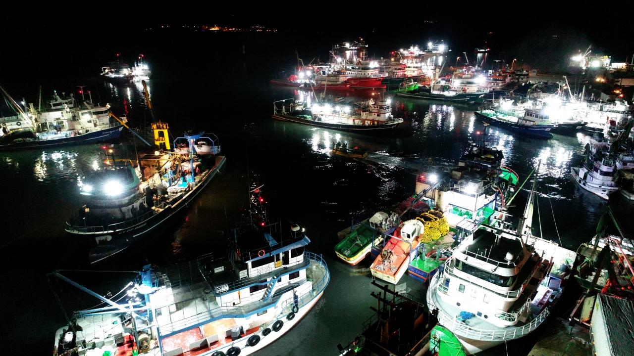 "İğneada`da iri hamsi çıkıyor"