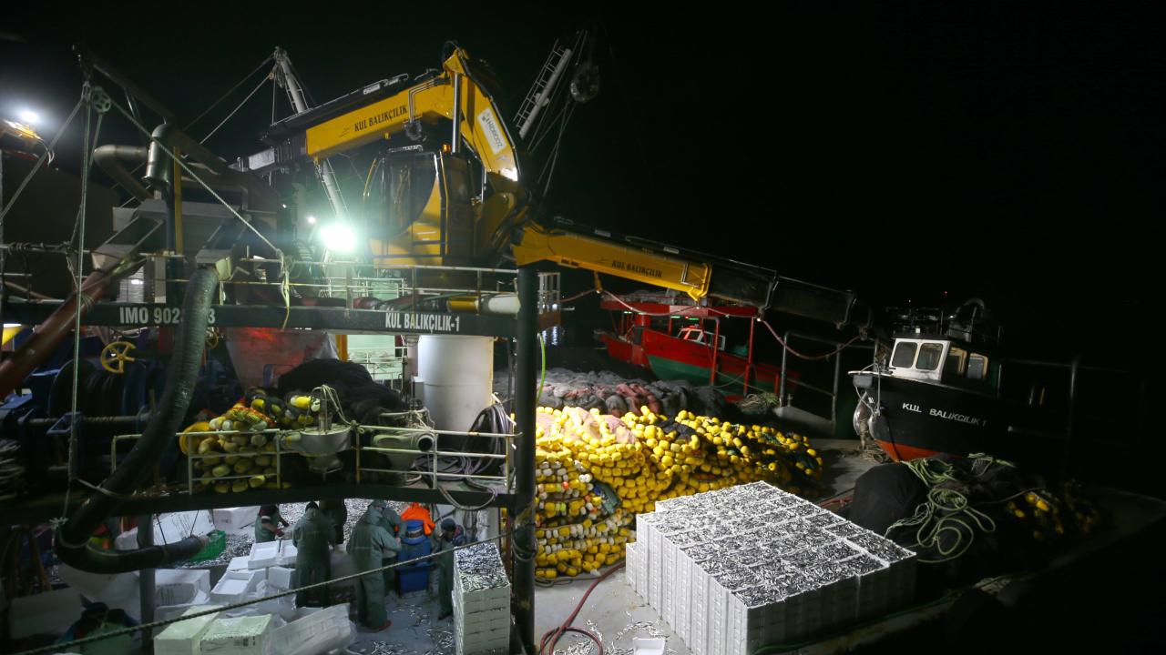 "Biz herkesin balık yemesini istiyoruz"