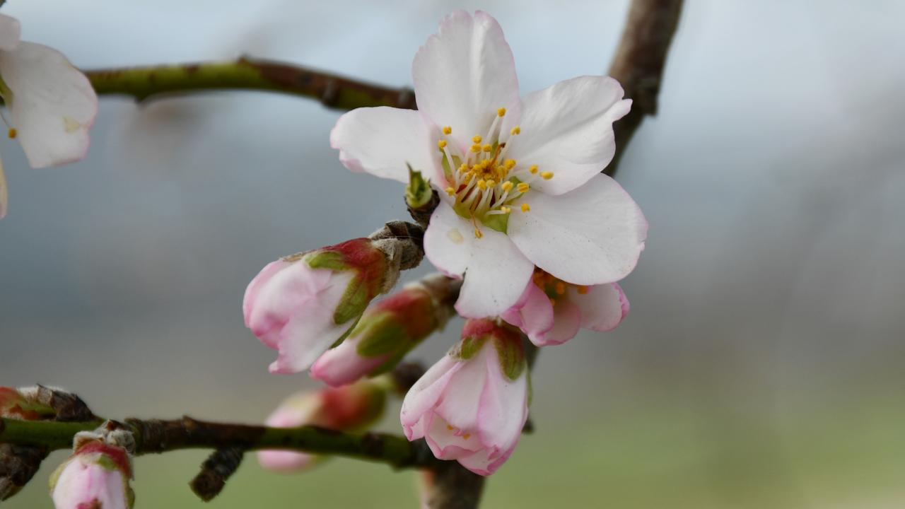 Üreticiler tedirgin oldu