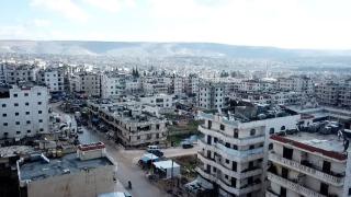 Afrin’in zeytin dalları