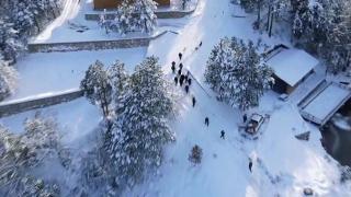 Yem bulmakta zorlanan hayvanlar için doğadalar