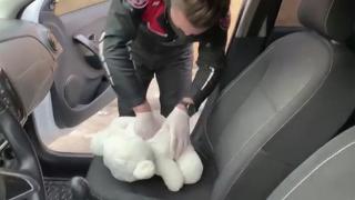 Oyuncak ayının içinden silah çıktı