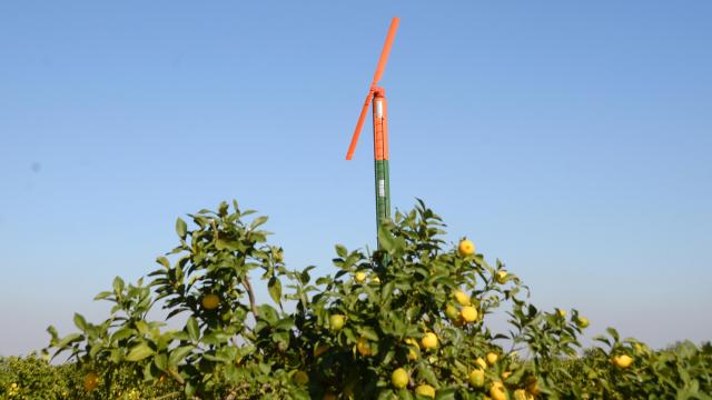 Çiftçiler dona karşı pervaneli önlem aldı