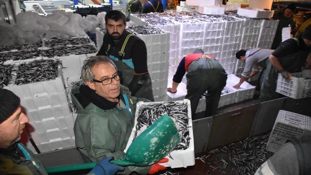 Av yasağıyla yükselişe geçen hamsi fiyatları düştü