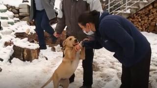 Başı plastik boruya sıkışan köpeği vatandaşlar kurtardı
