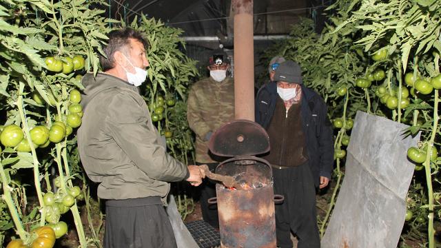 Mersinde seralarda sobalı zirai don nöbeti