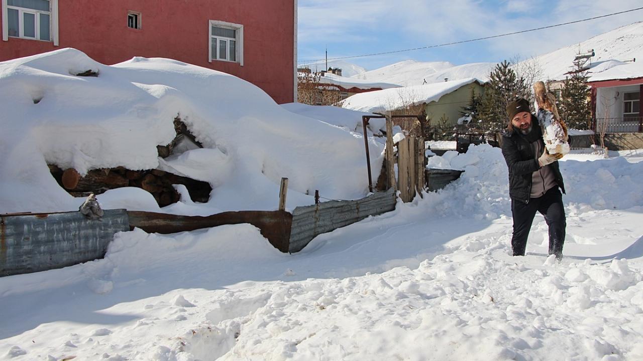 İlçeye bağlı Dörtyol köyünde yaşayan Kerem Beyaz, ağaç dallarına ekmek bırakarak kuşların beslenmesini sağlıyor.