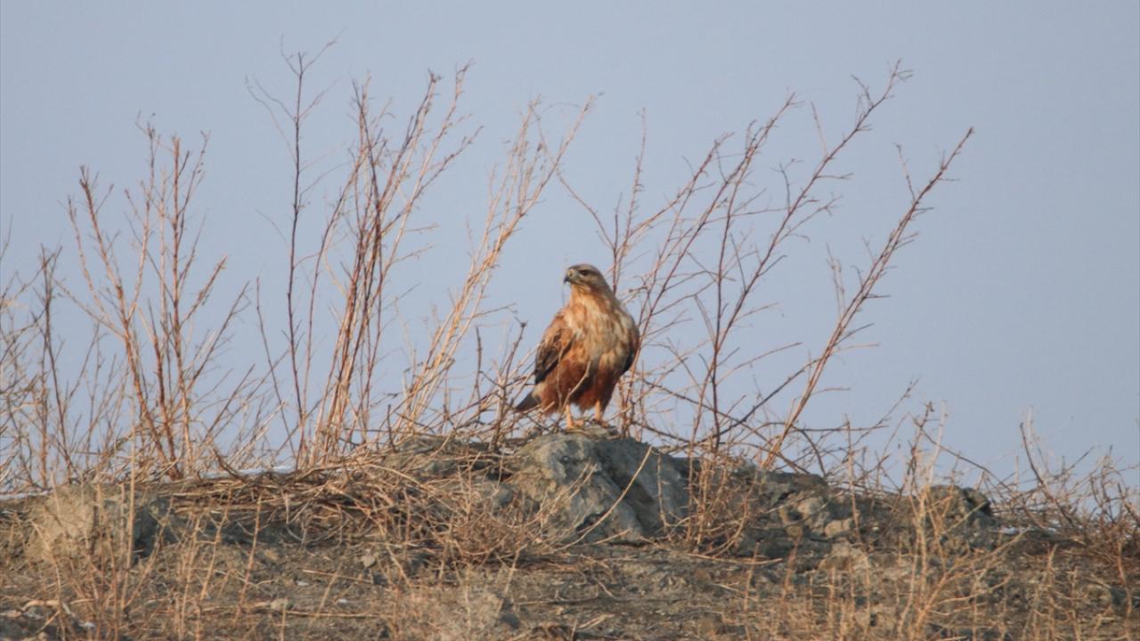 Kuş gözlemi açısından önemli bir bölge