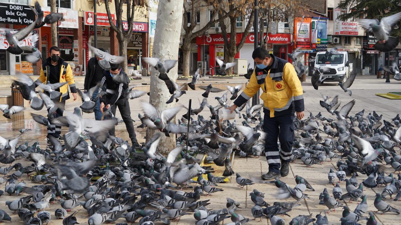 Kastamonu Belediyesine bağlı Veteriner İşleri Müdürlüğü ekipleri, kısıtlama sürecinde 123 noktada kuş ve sokak hayvanlarına yiyecek bırakmaya devam ediyor.