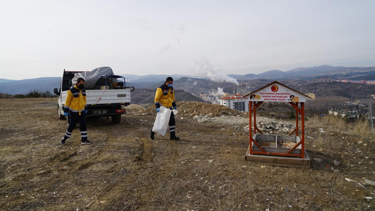 Bu kapsamda Kastamonu Belediyesi ekipleri, 2020 yılı içerisinde sokak hayvanı beslenme odaklarına ve pandemi sürecinde oluşturulan 123 besleme noktasına, 14 ton mama ve yiyecek bıraktı.