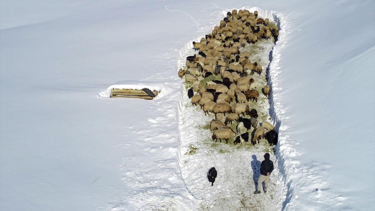 Besiciler, karla kaplanan doğada mesailerini sürdürdü.