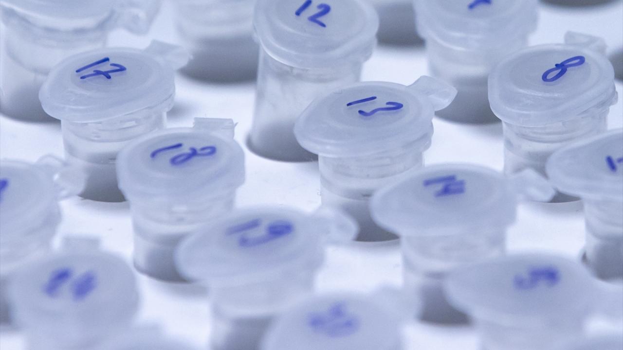 Faz-2 kapsamındaki aşılamaya da en geç şubatta başlanması ve bu aşamanın 2 ay içinde tamamlanarak Faz-3`e geçilmesi hedefleniyor.