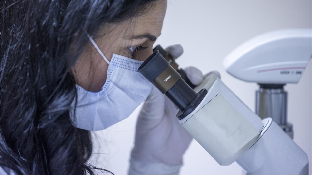 Bunun yanında 3 inaktif, 2 adenovirüs ile virüs benzeri parçacık (VLP) temelli Covid-19 aşısı çalışmalarında klinik öncesi aşama tamamlandı. 