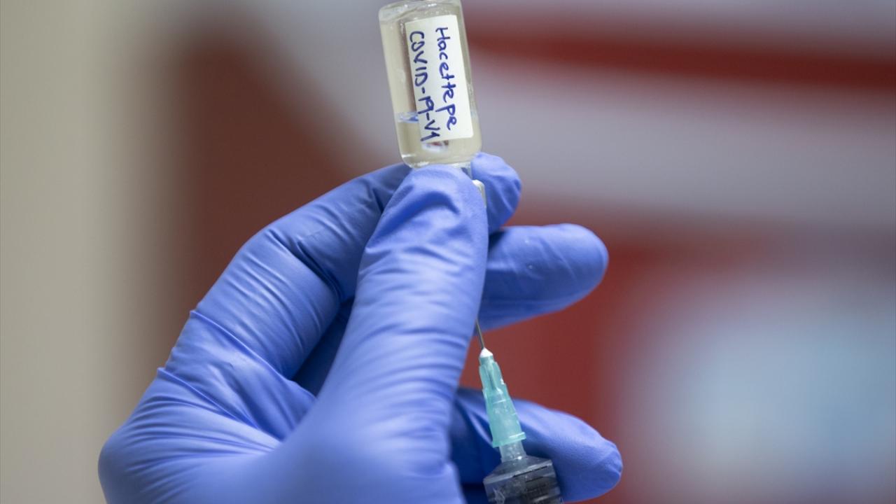 "En geç yazın yerli aşımızı olabileceğimizi öngörüyoruz"