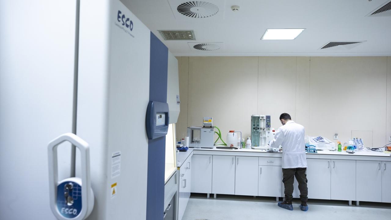 Aşı geliştirme çalışmalarındaki aşamalar