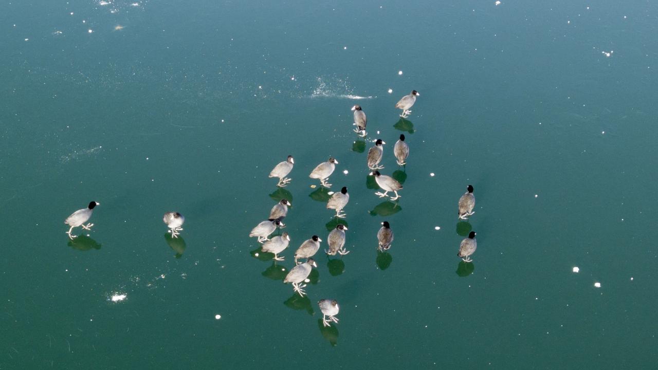 Hava sıcaklığının gece eksi 20 dereceye kadar düştüğü bölgede buzla kaplanan Nazik Gölü’nün değişik desenlere bürünen yüzeyi ve göl üzerindeki kuşlar havadan drone ile görüntülendi.