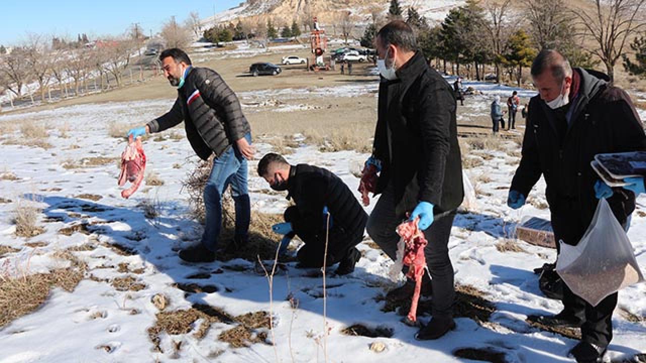 Batman'da yaban hayvanları için doğaya yiyecek bırakıldı