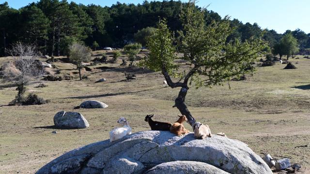 İda Madra Jeoparkı UNESCO yolunda