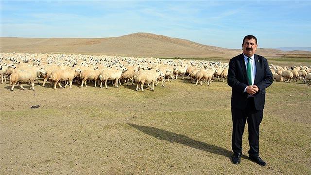 TÜDKİYEB Genel Başkanı Çelik: Keçi varlığını artırma hızında Türkiye 5. sırada