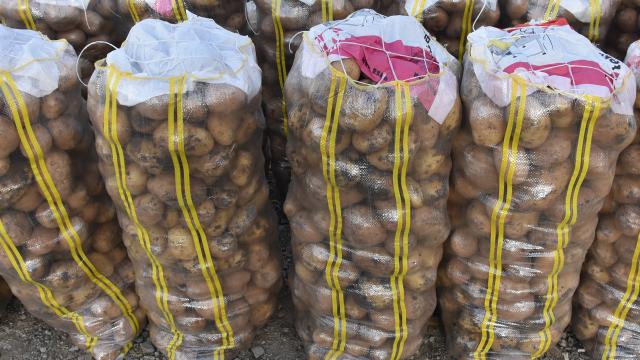 Muhtardan sigarayı bırakanlara bir çuval patates