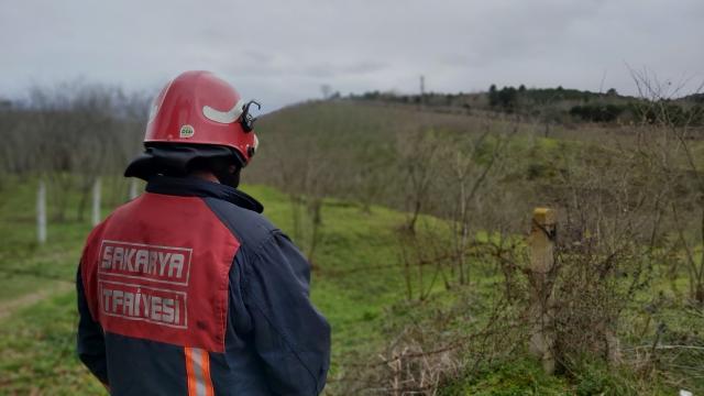 Sakaryada fındık bahçesinde yangın çıktı