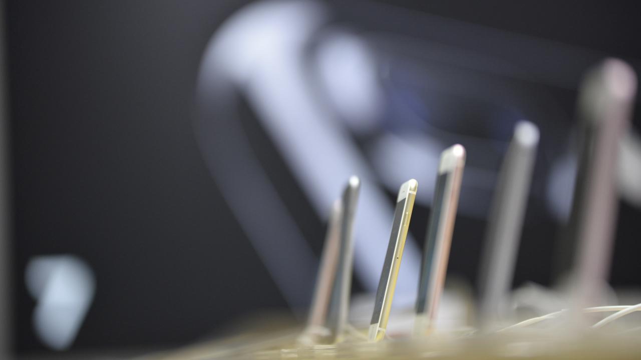 1- Apple / ABD / Teknoloji 