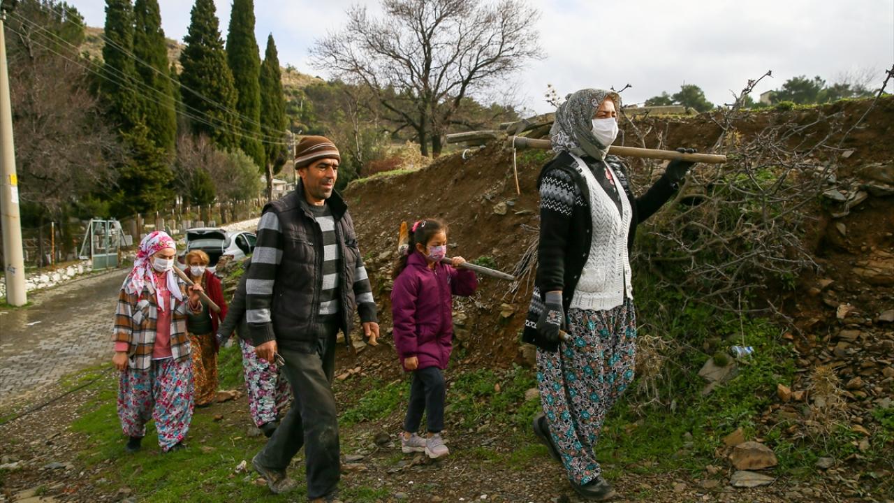 2019 yılında Türk Patent ve Marka Kurumu tarafından coğrafi işaret belgesi alan Kavacık üzümü, 850 rakımlı köyün en önemli geçim kaynağı olarak biliniyor.