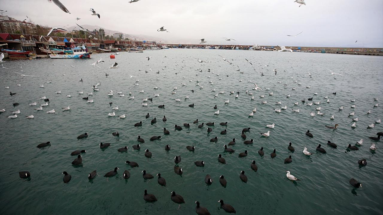 Büyükşehir Belediyesi, saatteki hızı zaman zaman 30 kilometreyi aşan rüzgar nedeniyle il merkezinde anonslar yaparak vatandaşların dikkatli ve tedbirli olmasını istedi.