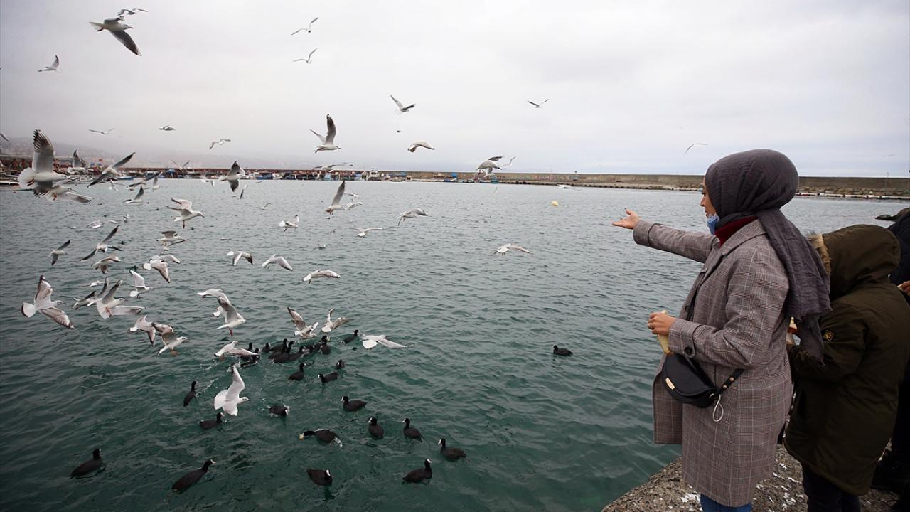 Sahilde yiyecek bulma sıkıntısı çeken martı ve karabataklar ise vatandaşların attığı ekmeklerle beslendi. 