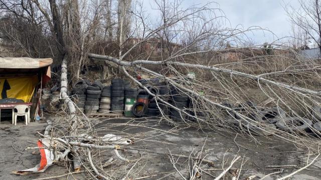 Karabükte fırtına ağacı yerinden söktü