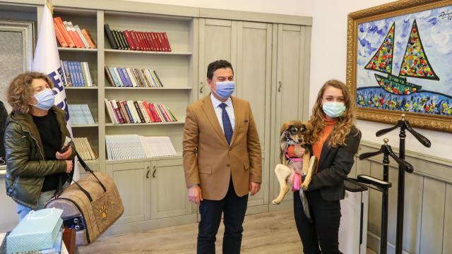 Bodrumda terk edilen üç köpeğe hayvanseverler sahip çıktı