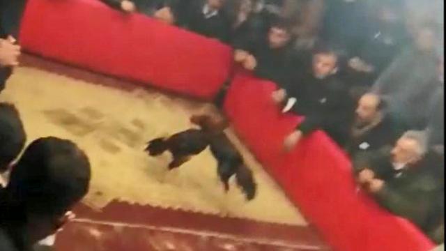Şanlıurfada horoz dövüşü baskını: Organize eden kişiye 105 bin lira ceza