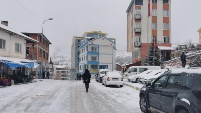 Sarıvelilerde kar yağışı