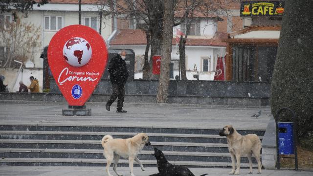 Çorumda kar yağarken güneşin açması güzel görüntüler oluşturdu