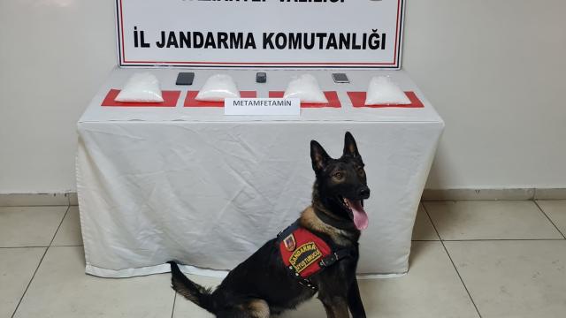 "Oscar", ilk görevinde 4 kilo 500 gram uyuşturucu buldu