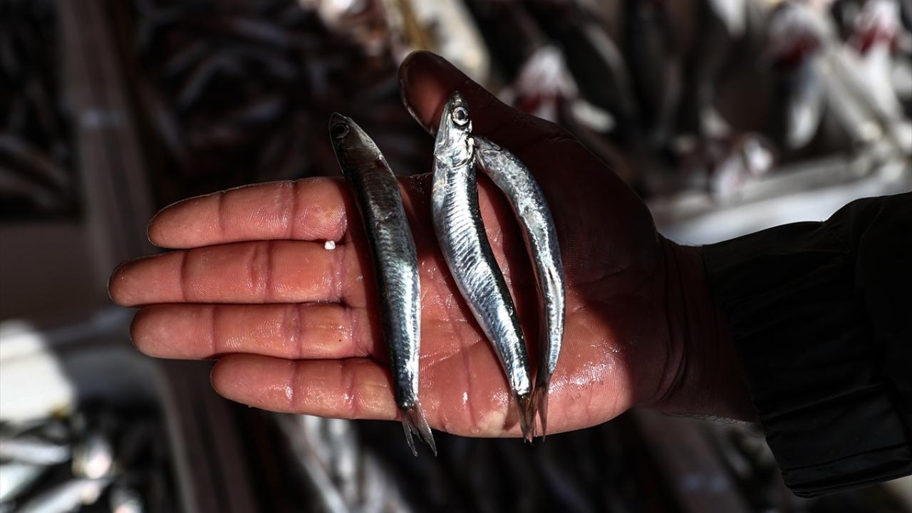 "Av yasağının gelmesi çok güzel oldu"