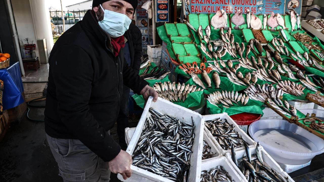 "Sadece hamsi değil hiçbir balık kalmıyor"