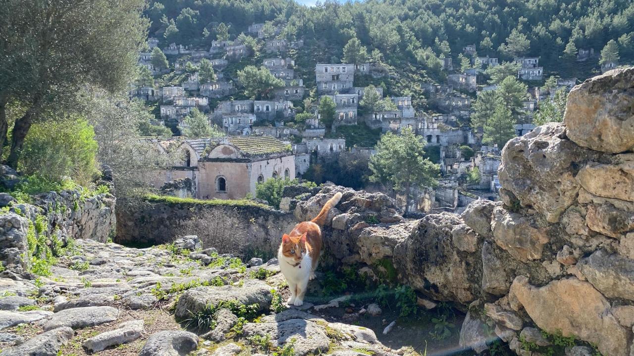 `Biz hiç hayalet görmedik`