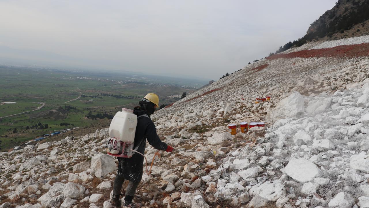 "Boyanan alan neredeyse 150 bin metrekare"