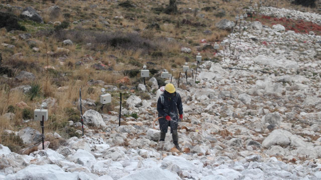 Rum tarafından tepki