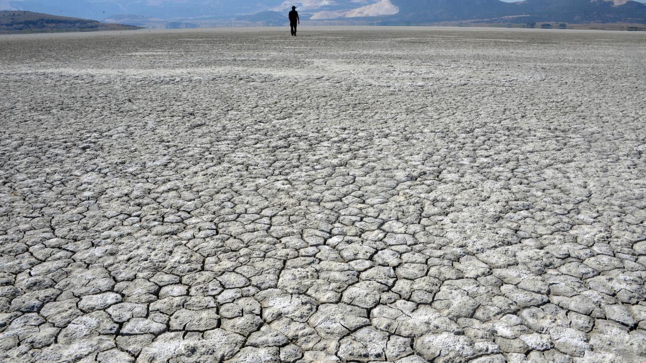 "Marmara Denizi kadar sulak alan kurudu"
