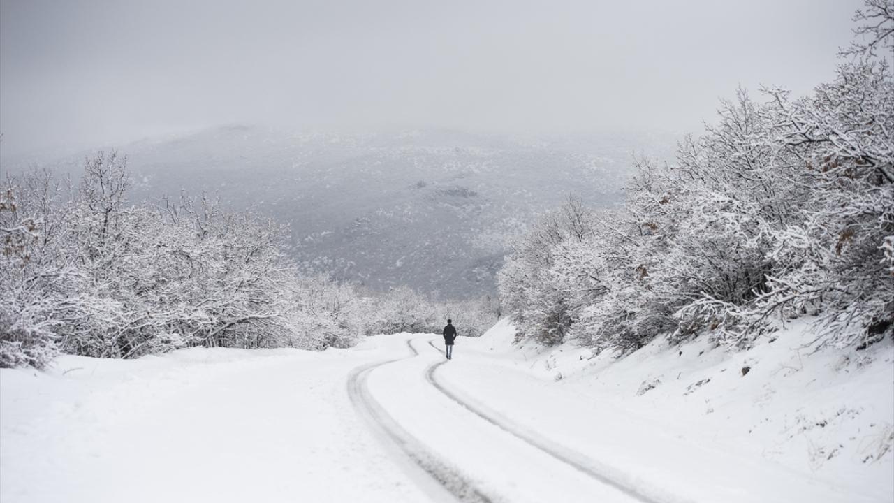 Sahip olduğu doğal, tarihi ve kültürel zenginlikleriyle her mevsim ayrı güzellik sunan Nazımiye, kar yağışıyla bir başka güzelliğe büründü.