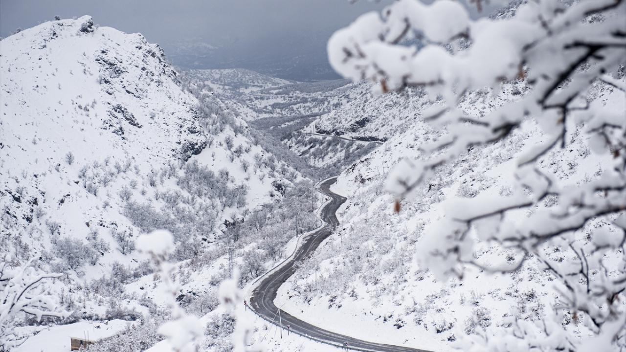 Fotoğrafçı Malik Kaya, Tunceli`nin her mevsim doğasıyla göz kamaştırdığını söyledi.