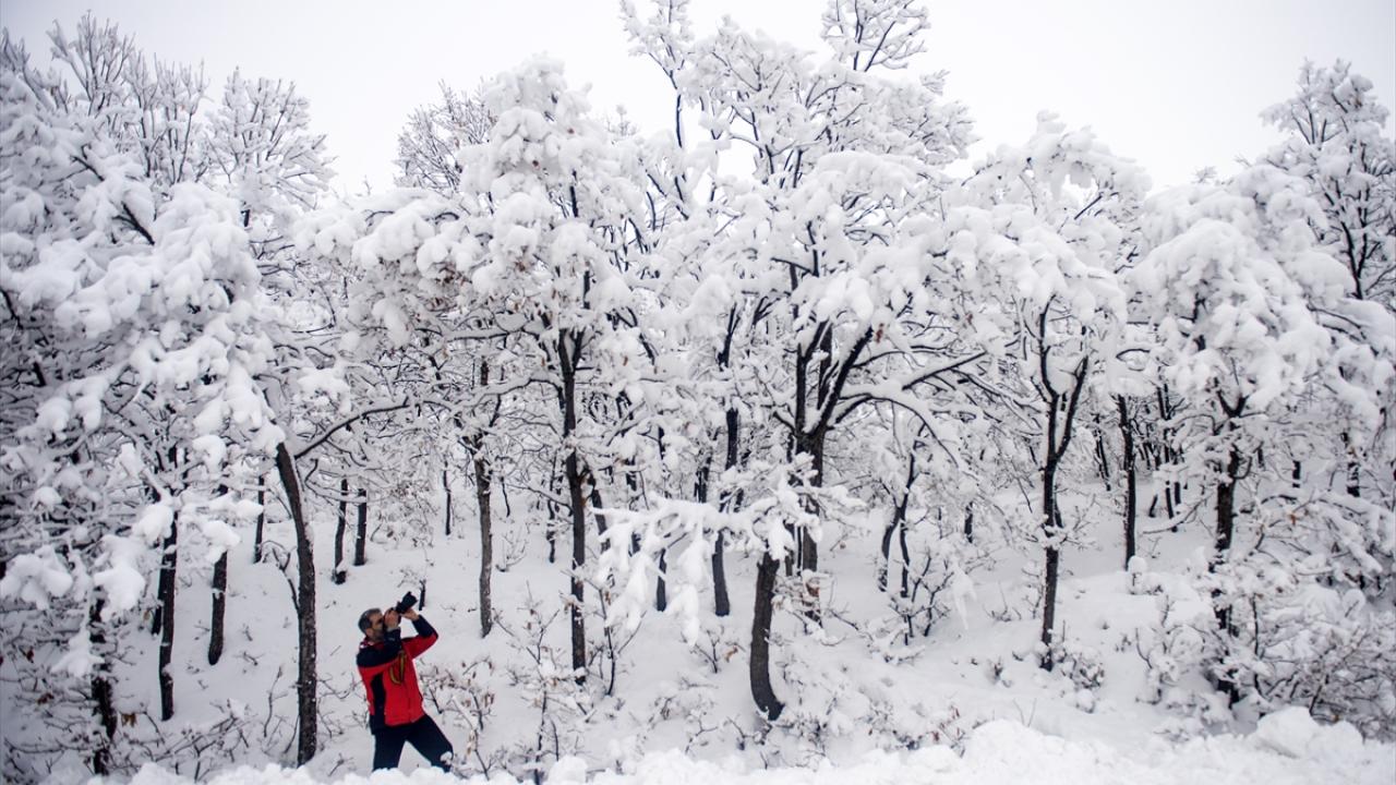Kar yağışıyla kentin ve ilçelerinin bembeyaz olduğunu belirten Kaya, şöyle konuştu:
