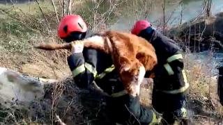 Kahraman itfaiyeciler bir can daha kurtardı