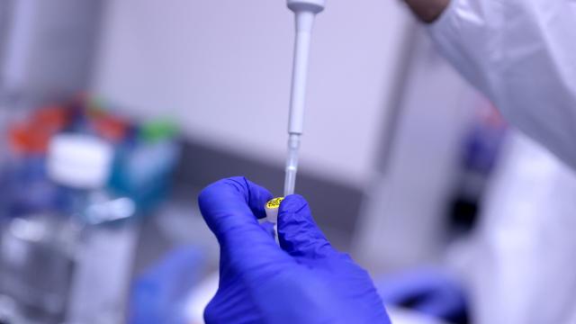 TÜBA Akademi Ödüllerine başvurular başladı