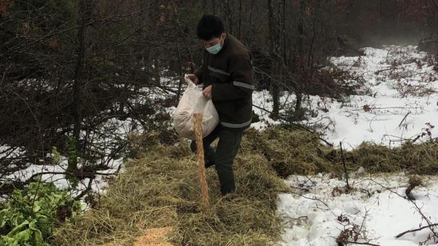 Tekirdağda yaban hayvanları için doğaya 4,5 ton yem bırakıldı