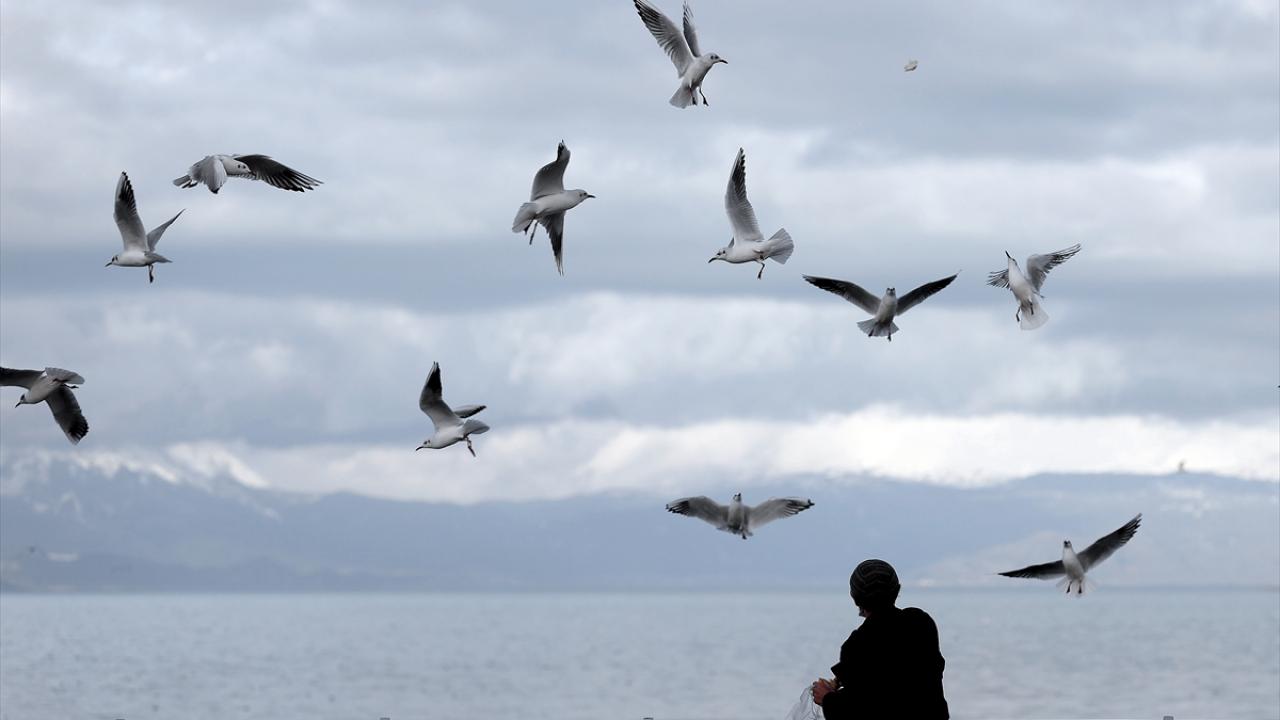 Üzerlerine atılan simit parçalarını havada kapmaya çalışan martı sürücüleri, adeta birbirleriyle yarışıyor.
