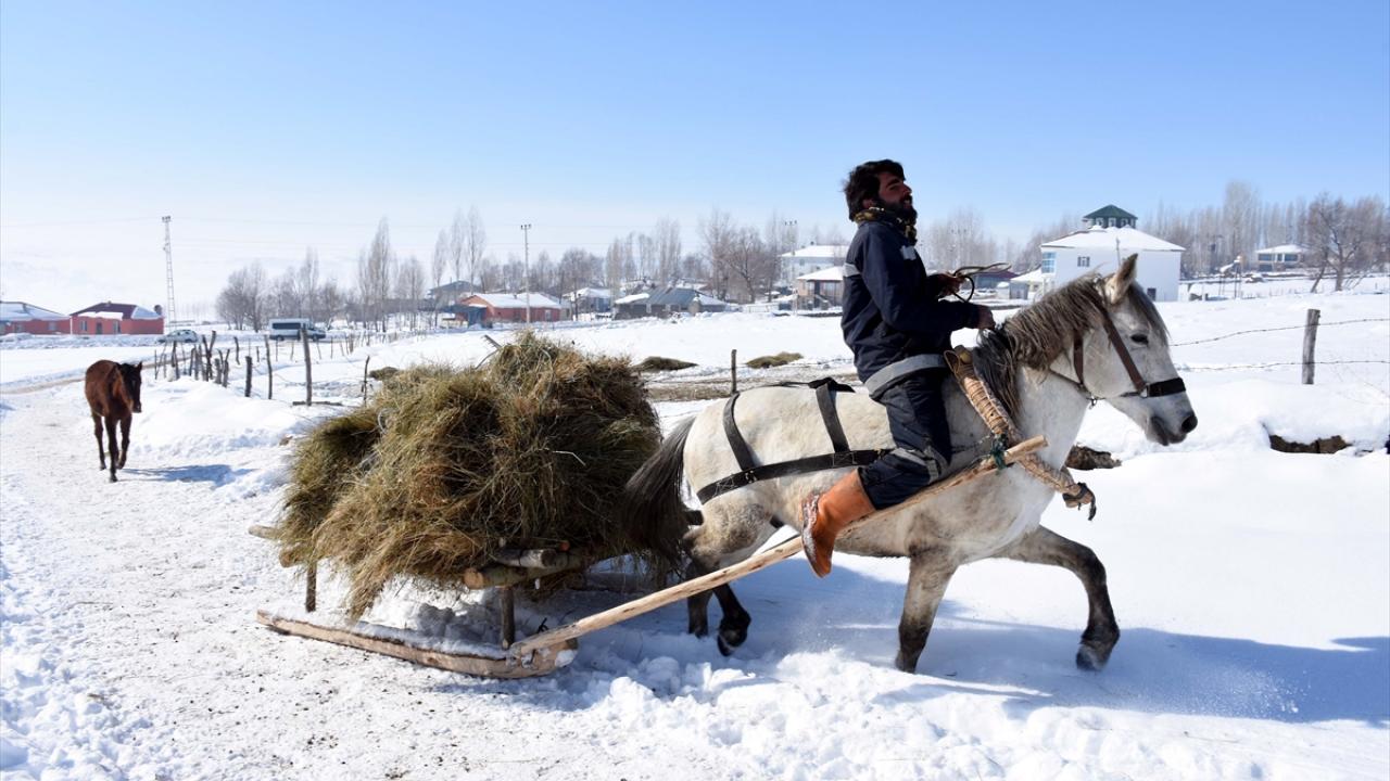 "Hayvanların bakımı kışın daha zor"